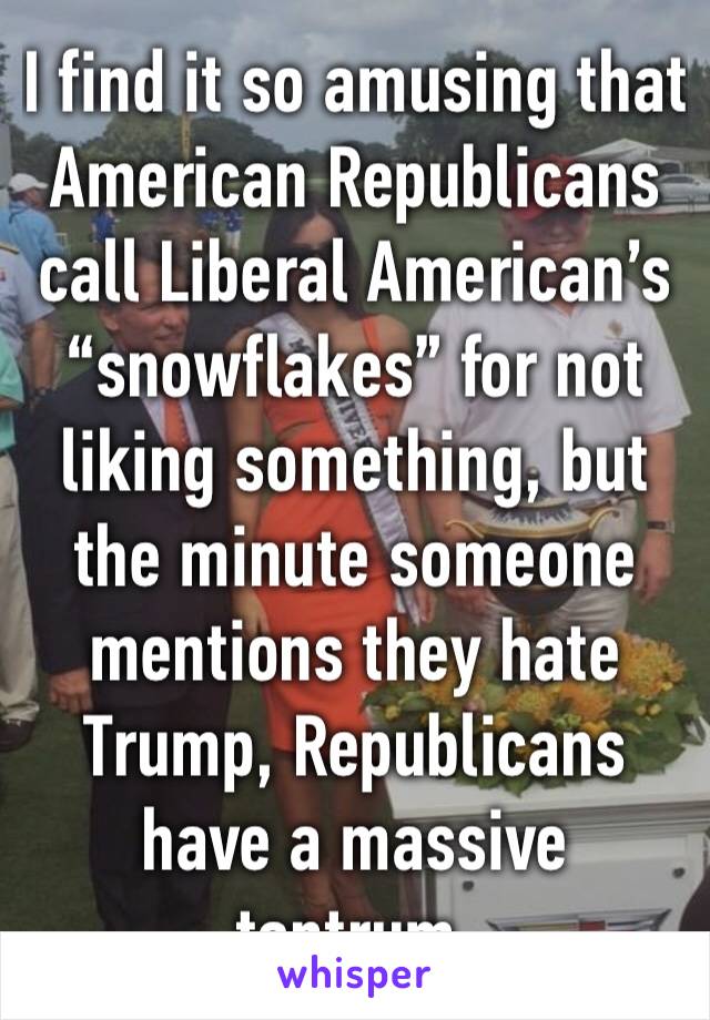 I find it so amusing that American Republicans call Liberal American’s “snowflakes” for not liking something, but the minute someone mentions they hate Trump, Republicans have a massive tantrum. 