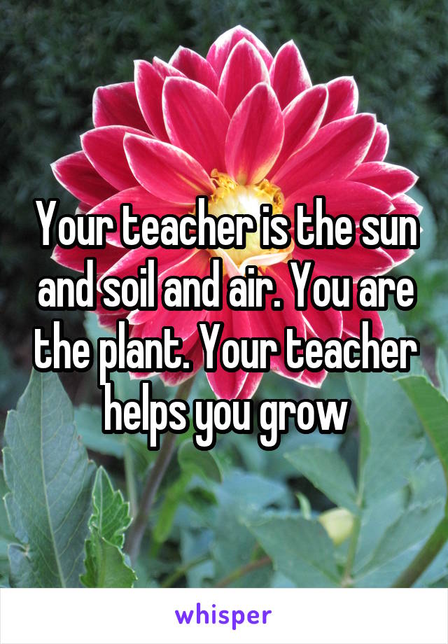Your teacher is the sun and soil and air. You are the plant. Your teacher helps you grow