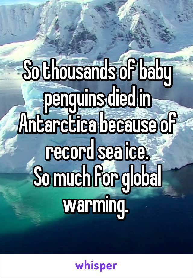 So thousands of baby penguins died in Antarctica because of record sea ice.
So much for global warming. 