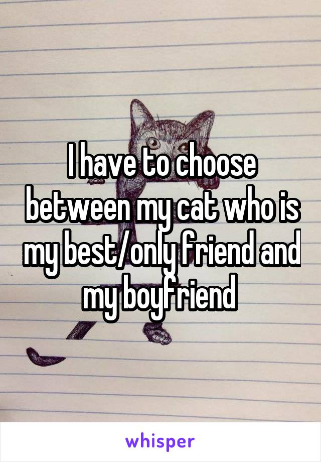 I have to choose between my cat who is my best/only friend and my boyfriend 