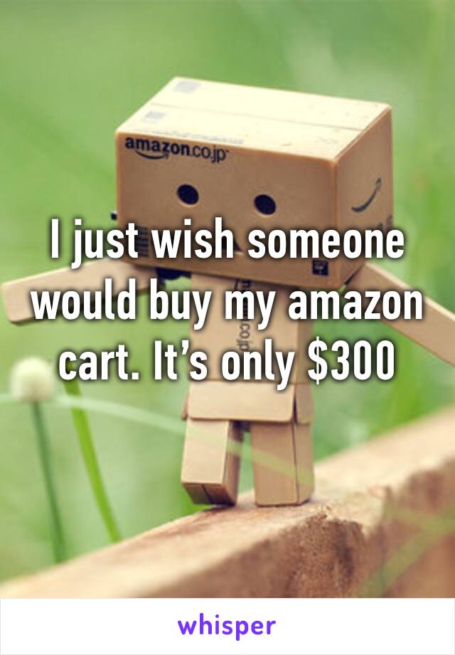 I just wish someone would buy my amazon cart. It’s only $300 