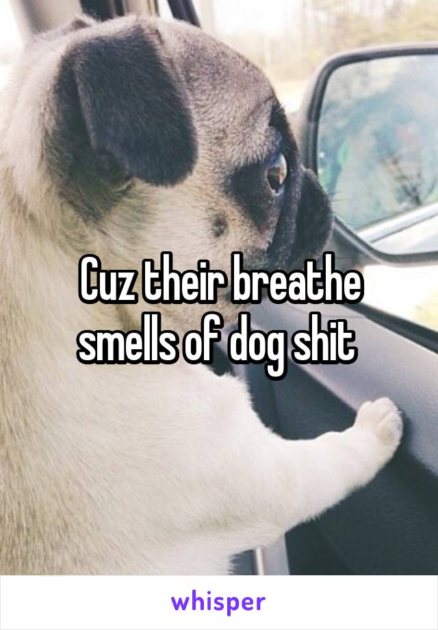 Cuz their breathe smells of dog shit 
