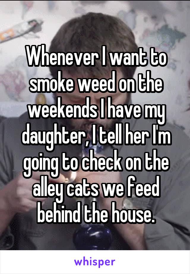 Whenever I want to smoke weed on the weekends I have my daughter, I tell her I'm going to check on the alley cats we feed behind the house.