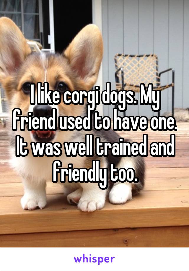 I like corgi dogs. My friend used to have one. It was well trained and friendly too.