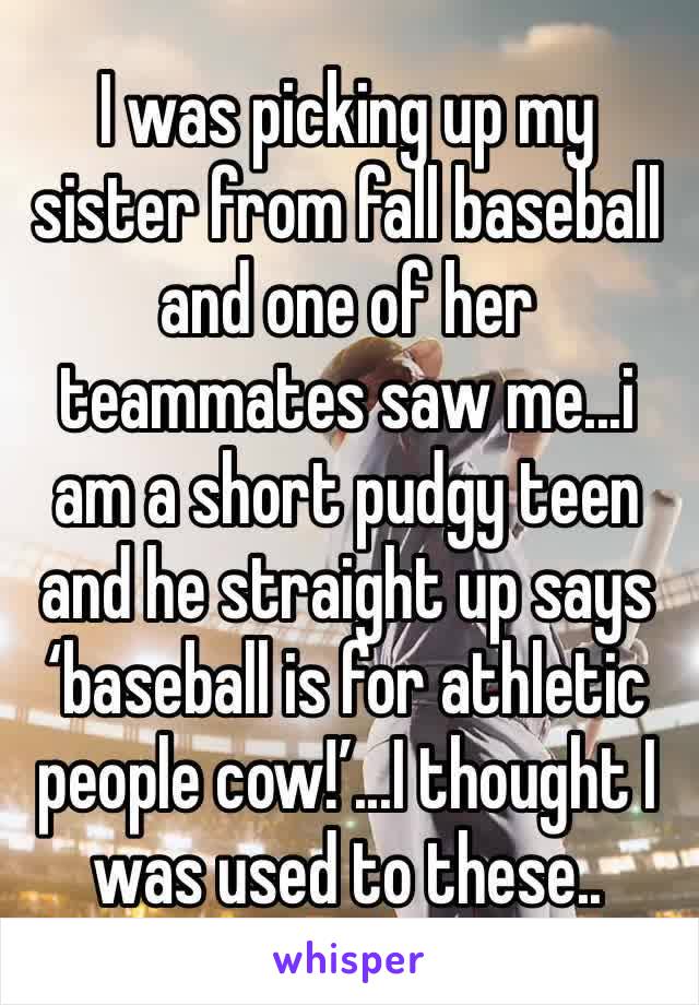 I was picking up my sister from fall baseball and one of her teammates saw me...i am a short pudgy teen and he straight up says ‘baseball is for athletic people cow!’...I thought I was used to these..