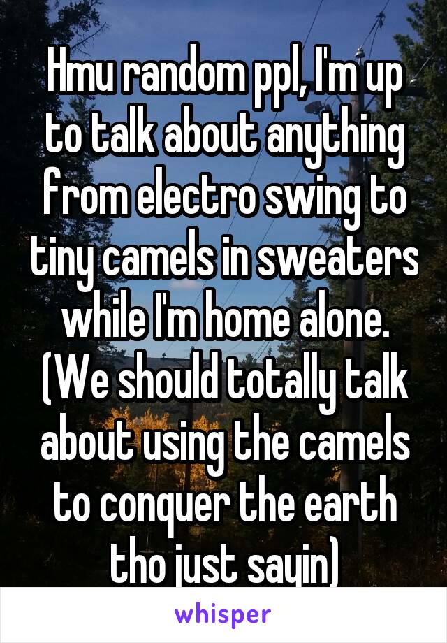 Hmu random ppl, I'm up to talk about anything from electro swing to tiny camels in sweaters while I'm home alone. (We should totally talk about using the camels to conquer the earth tho just sayin)