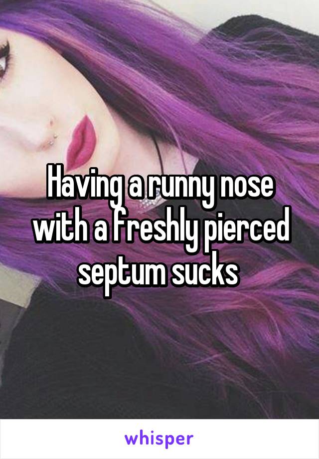 Having a runny nose with a freshly pierced septum sucks 
