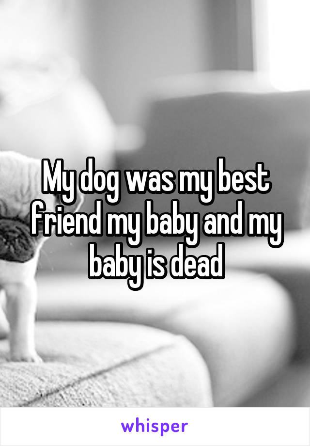 My dog was my best friend my baby and my baby is dead
