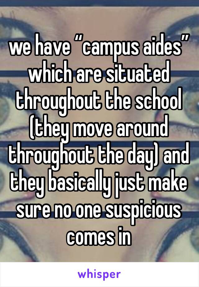 we have “campus aides” which are situated throughout the school (they move around throughout the day) and they basically just make sure no one suspicious comes in