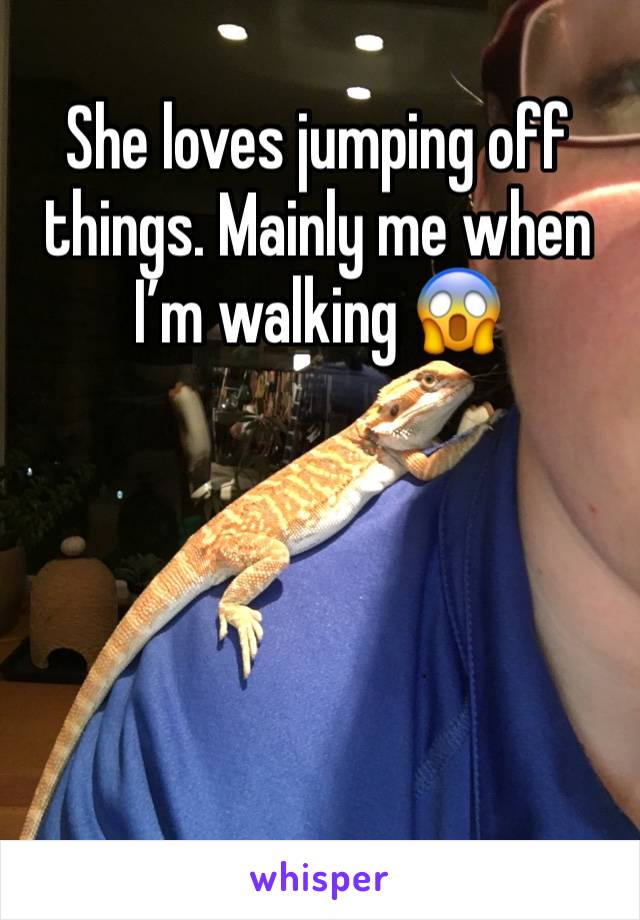 She loves jumping off things. Mainly me when I’m walking 😱