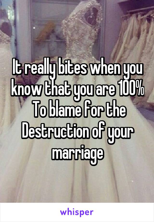 It really bites when you know that you are 100%  To blame for the Destruction of your marriage