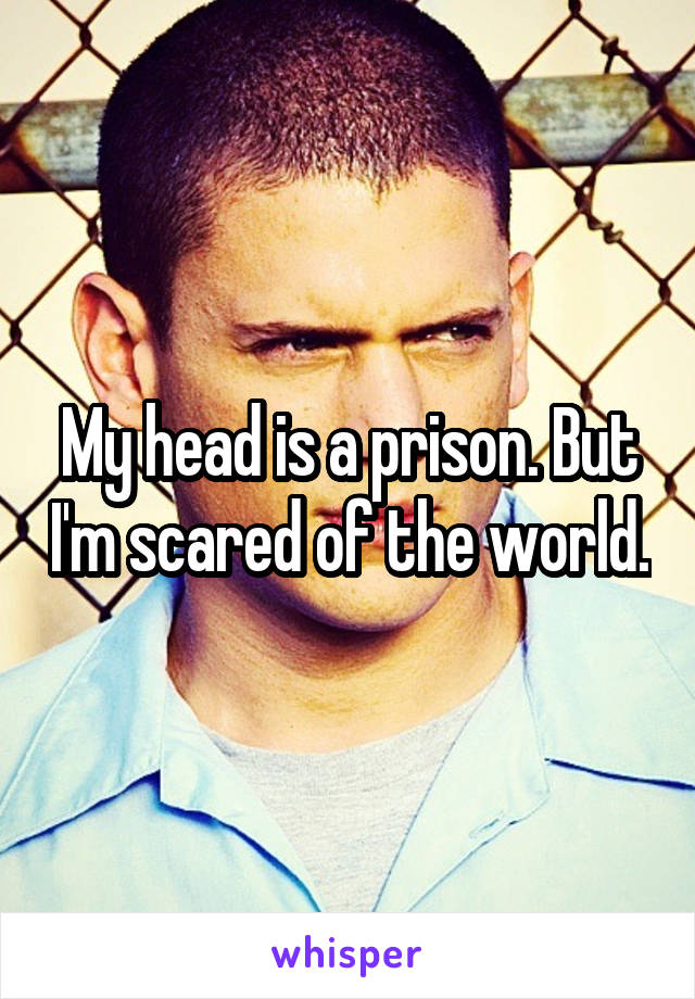 My head is a prison. But I'm scared of the world.
