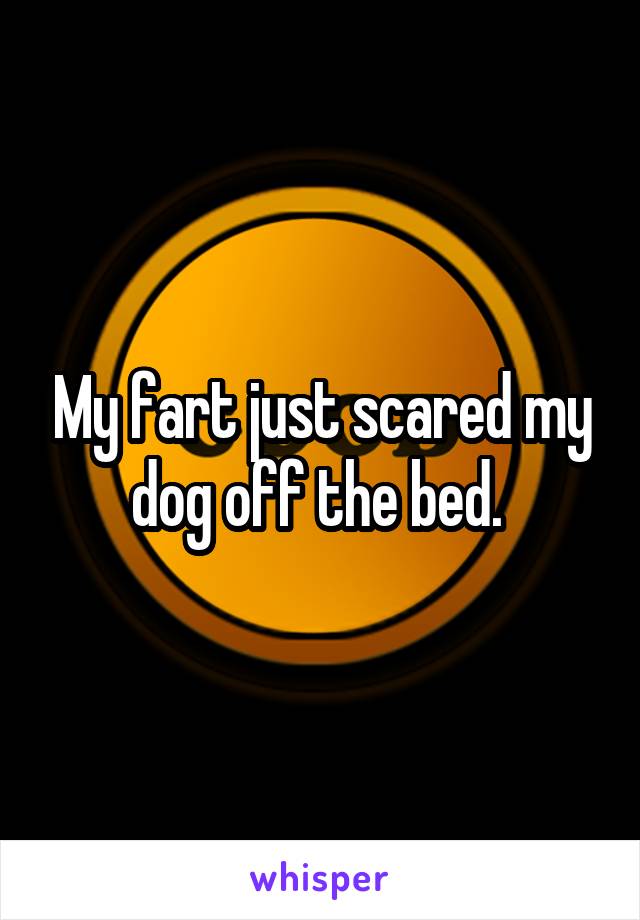 My fart just scared my dog off the bed. 