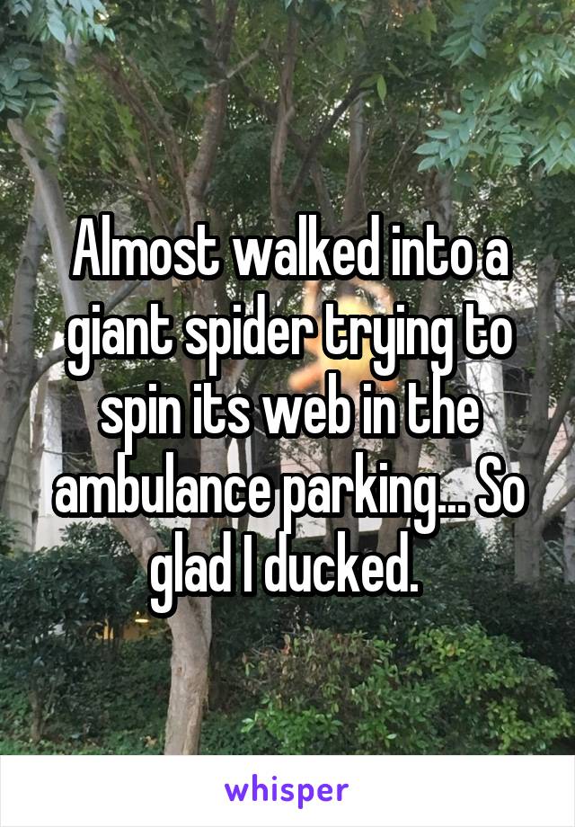 Almost walked into a giant spider trying to spin its web in the ambulance parking... So glad I ducked. 
