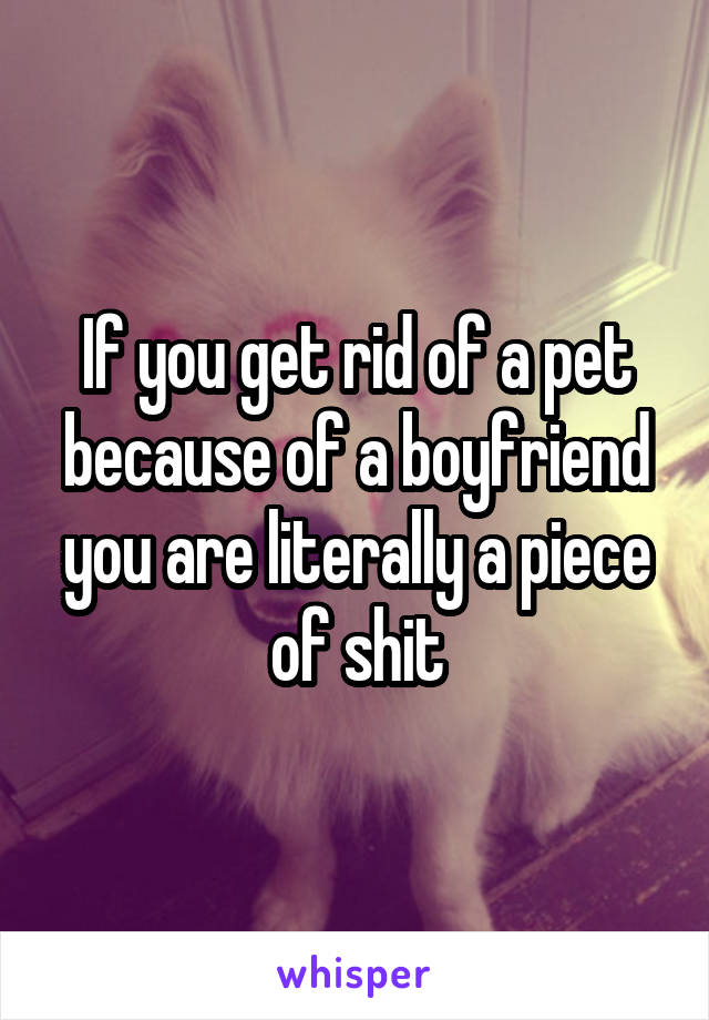 If you get rid of a pet because of a boyfriend you are literally a piece of shit