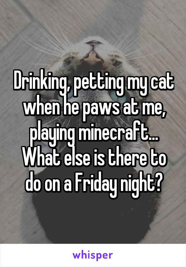 Drinking, petting my cat when he paws at me, playing minecraft...
What else is there to do on a Friday night?