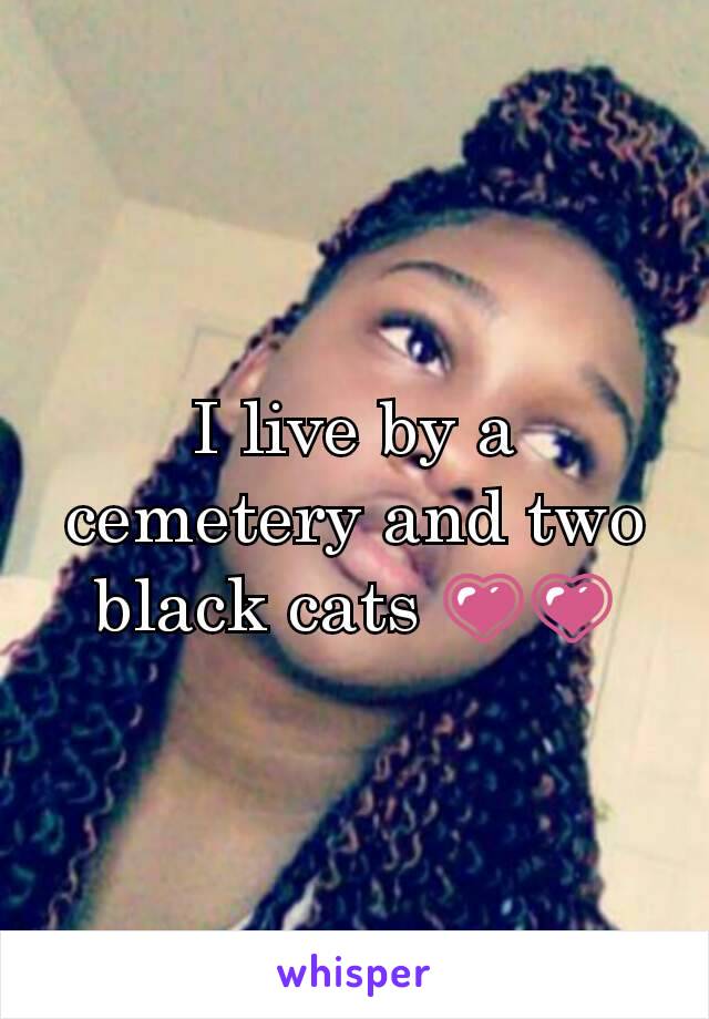 I live by a cemetery and two black cats 💗💗
