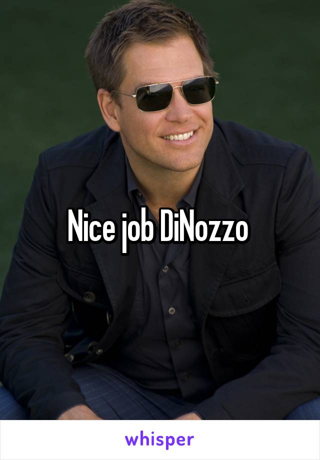 Nice job DiNozzo 