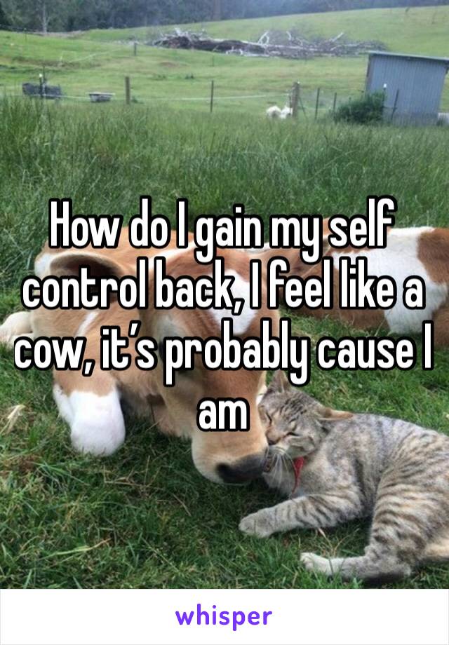 How do I gain my self control back, I feel like a cow, it’s probably cause I am 