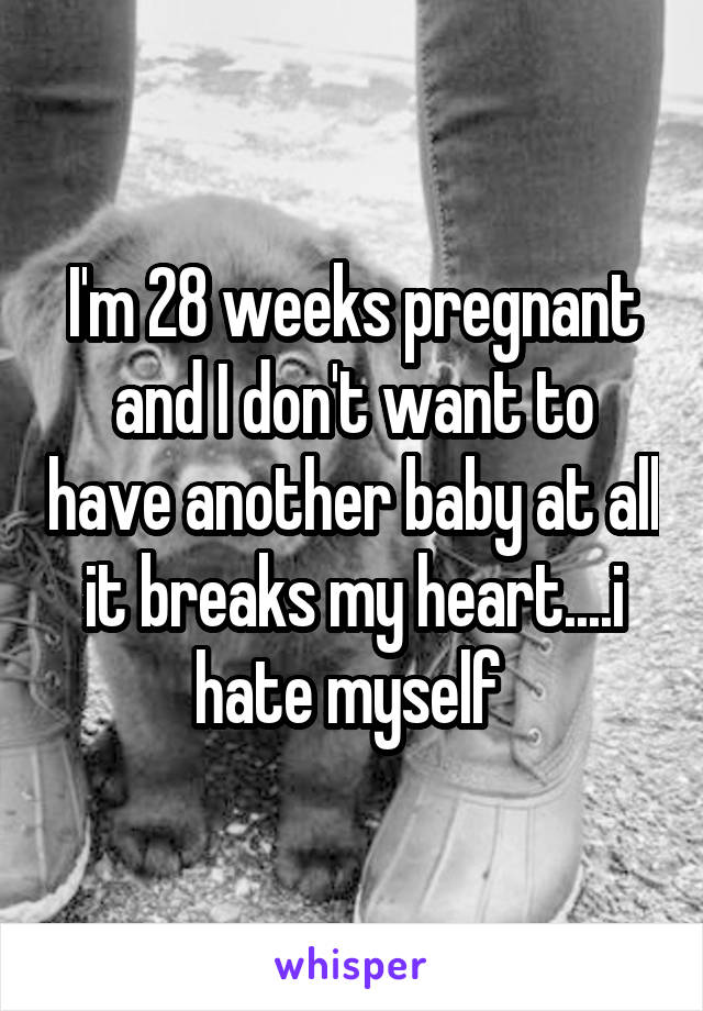 I'm 28 weeks pregnant and I don't want to have another baby at all it breaks my heart....i hate myself 