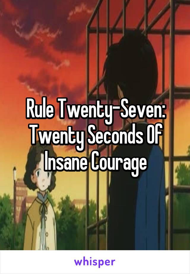 Rule Twenty-Seven:
Twenty Seconds Of Insane Courage