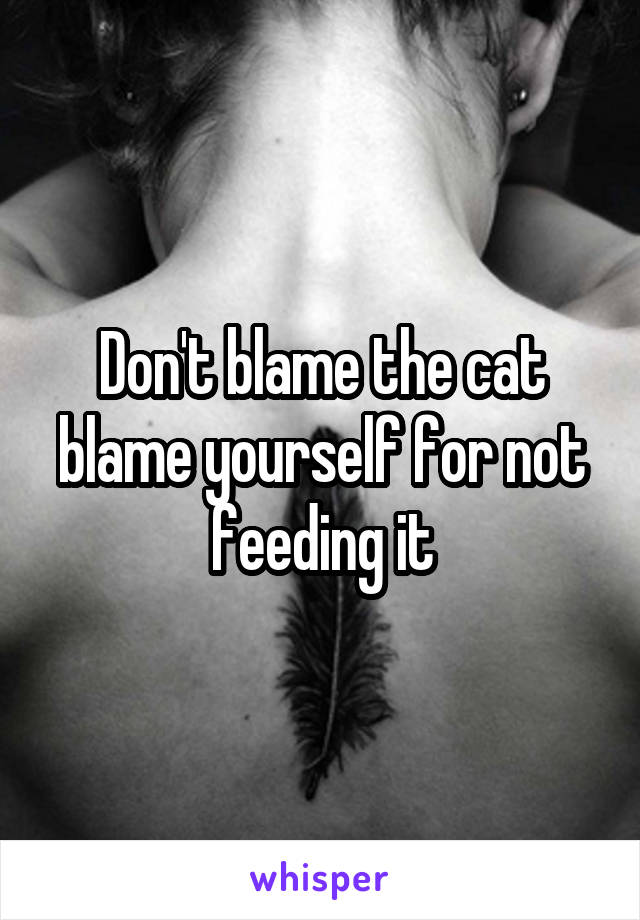 Don't blame the cat blame yourself for not feeding it