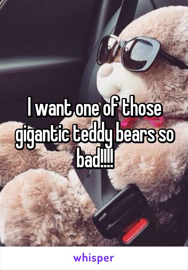 I want one of those gigantic teddy bears so bad!!!!