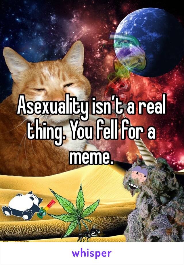 Asexuality isn’t a real thing. You fell for a meme. 