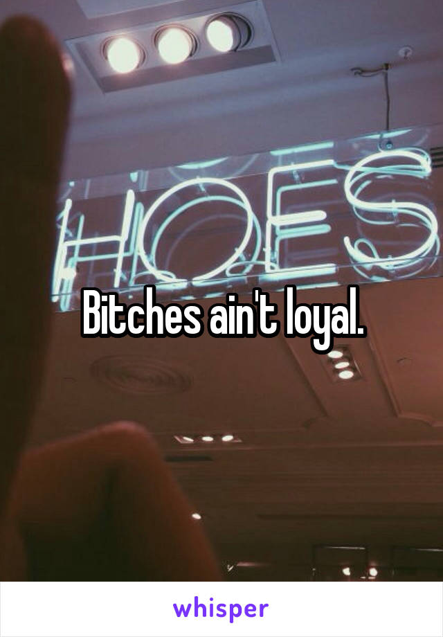Bitches ain't loyal.