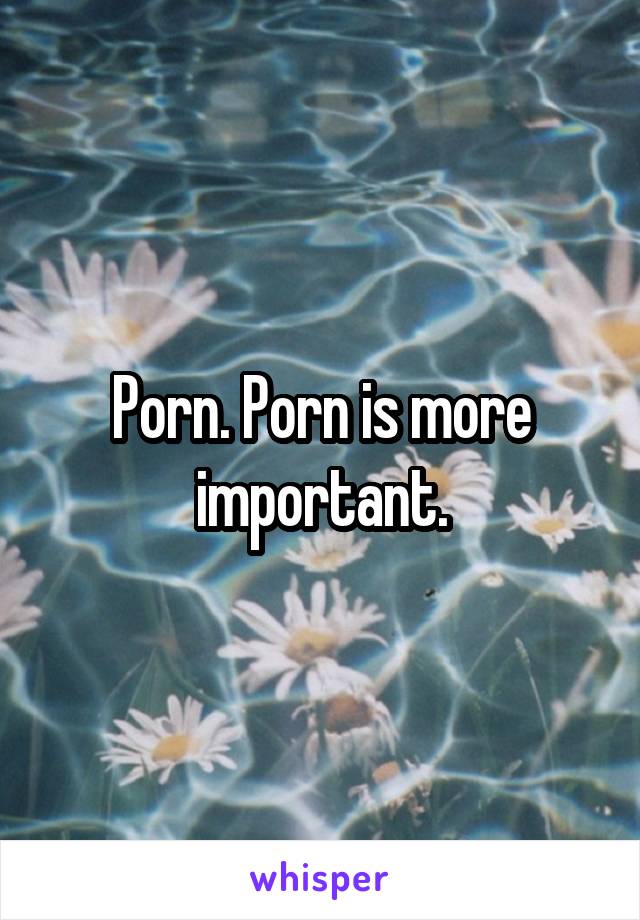 Porn. Porn is more important.