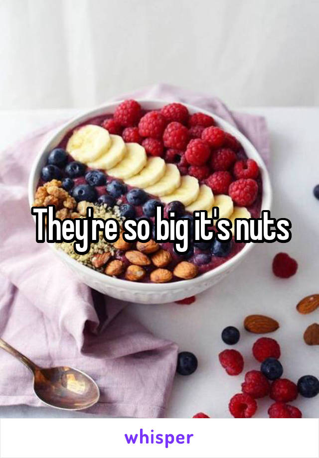 They're so big it's nuts