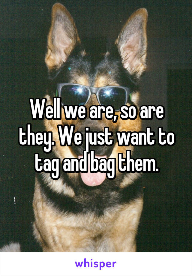 Well we are, so are they. We just want to tag and bag them.