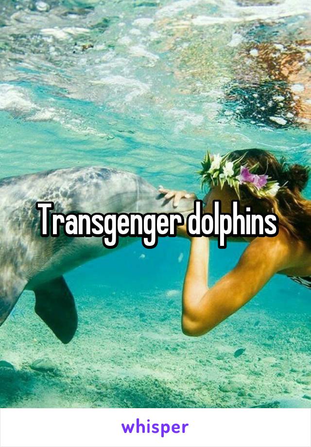 Transgenger dolphins