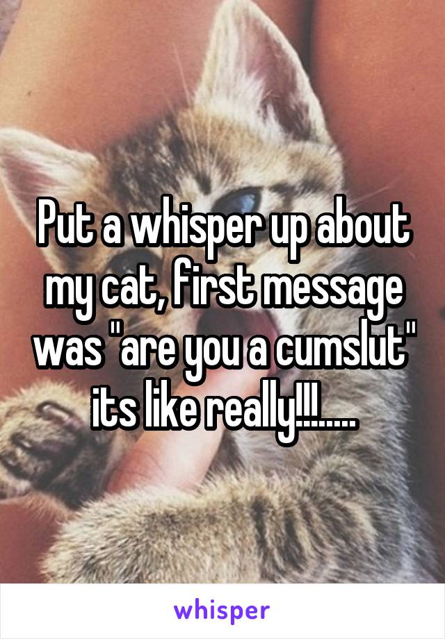 Put a whisper up about my cat, first message was "are you a cumslut" its like really!!!.....