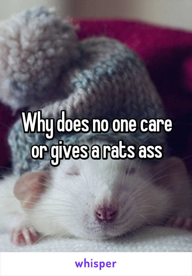 Why does no one care or gives a rats ass
