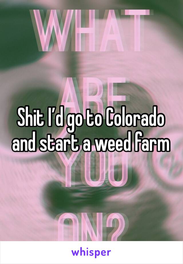 Shit I’d go to Colorado and start a weed farm 