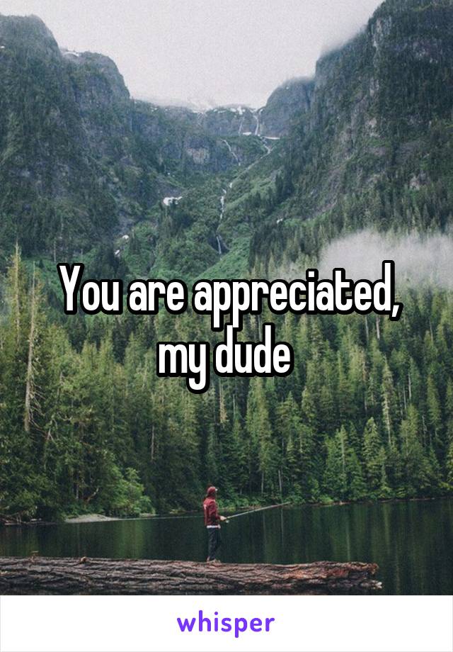 You are appreciated,
my dude 