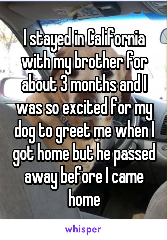 I stayed in California with my brother for about 3 months and I was so excited for my dog to greet me when I got home but he passed away before I came home