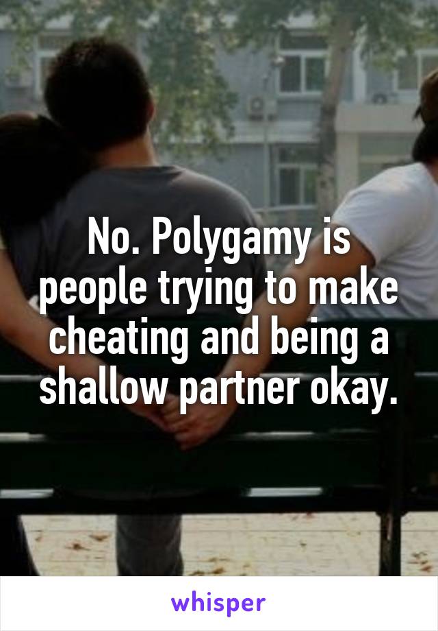 No. Polygamy is people trying to make cheating and being a shallow partner okay.