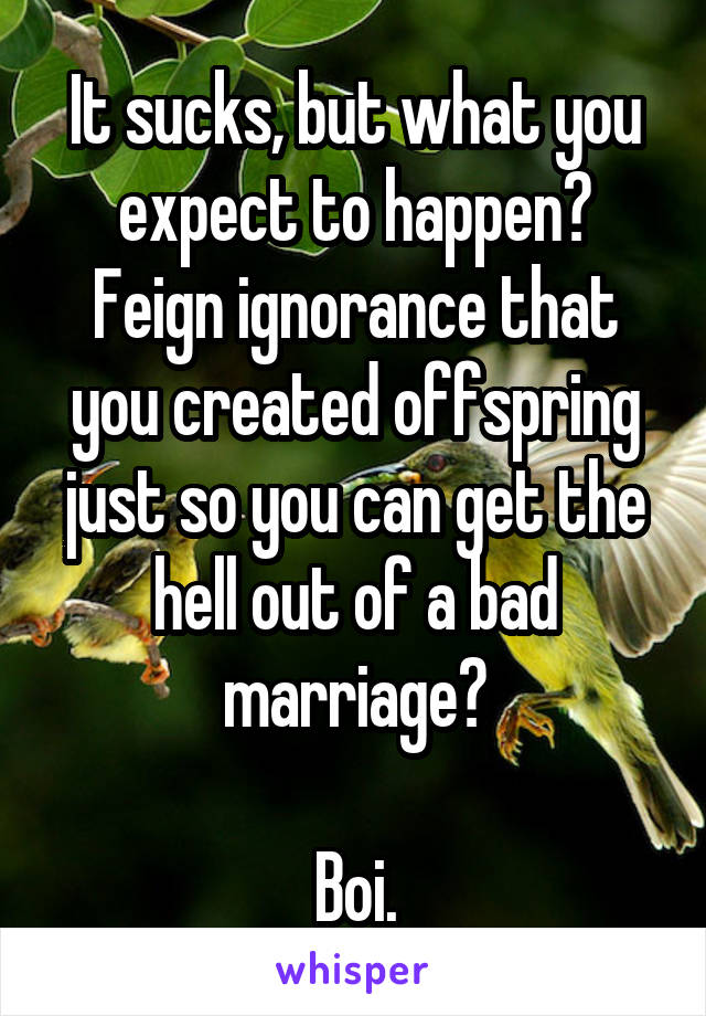 It sucks, but what you expect to happen? Feign ignorance that you created offspring just so you can get the hell out of a bad marriage?

Boi.