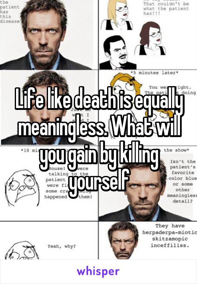 Life like death is equally meaningless. What will you gain by killing yourself
