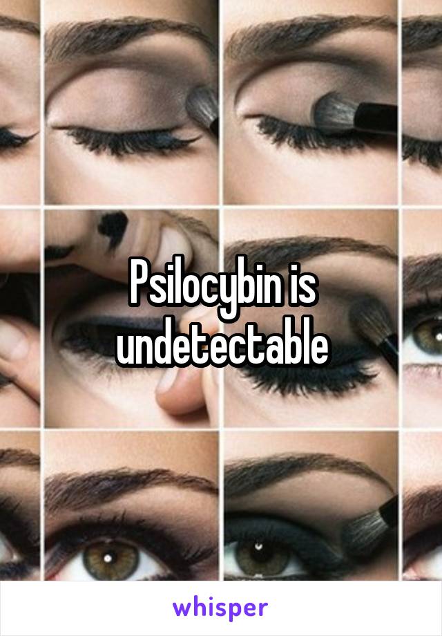 Psilocybin is undetectable