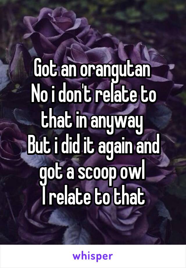 Got an orangutan 
No i don't relate to that in anyway 
But i did it again and got a scoop owl 
I relate to that