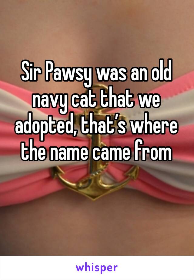 Sir Pawsy was an old navy cat that we adopted, that’s where the name came from