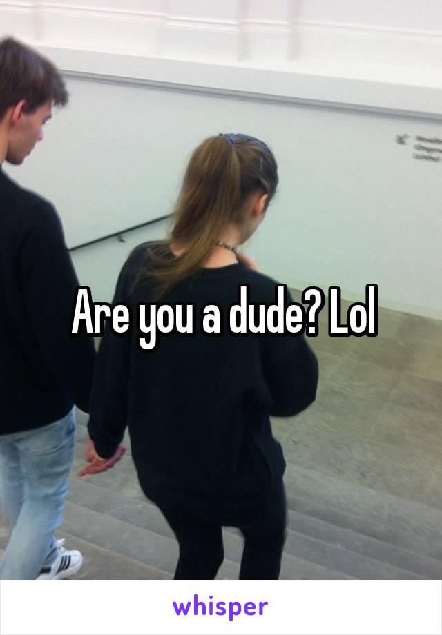 Are you a dude? Lol