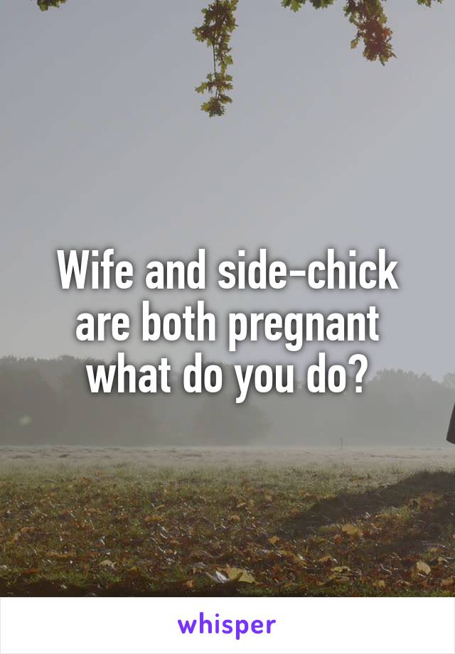 Wife and side-chick are both pregnant what do you do?