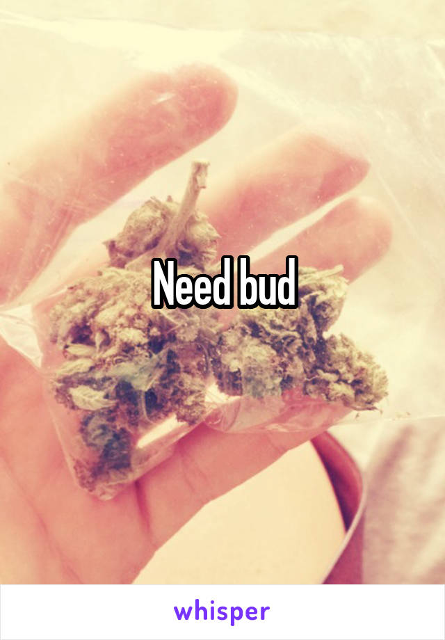 Need bud
