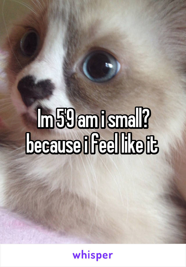 Im 5'9 am i small? because i feel like it 