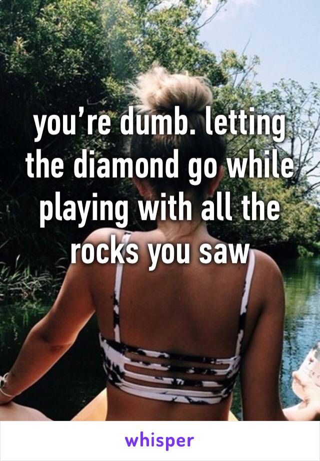 you’re dumb. letting the diamond go while playing with all the rocks you saw