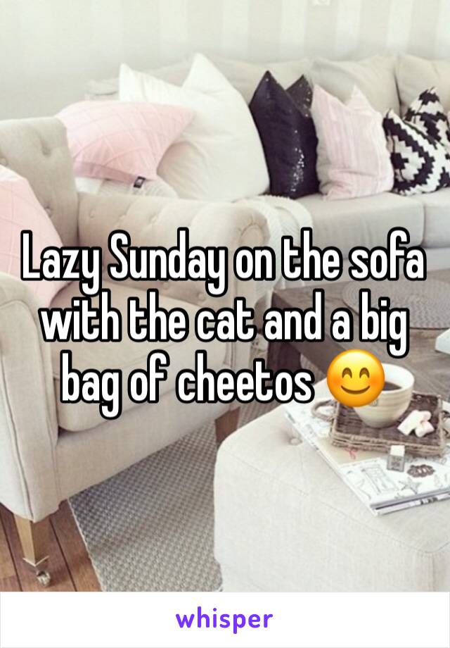 Lazy Sunday on the sofa with the cat and a big bag of cheetos 😊